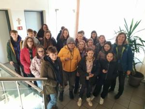 PET-to-PET-Gruene-Tonne-50