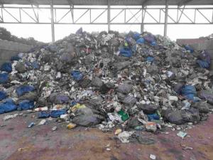 PET-to-PET-Gruene-Tonne-23