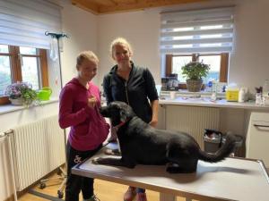 20231018 074338399 iOS