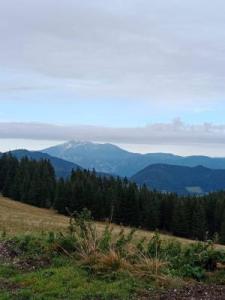 IMG-20240925-WA0024 (1)