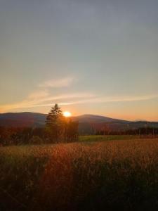 1.Platz Jakob-Kerschbaumer