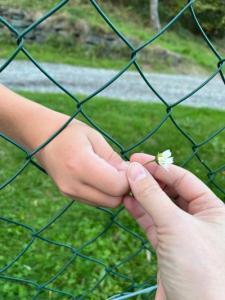 2.Platz Clemens-Glatz