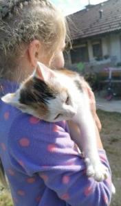 5.Platz Andreas-Haas-2