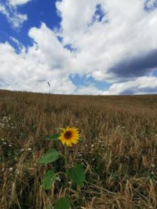 5.Platz Andreas-Haas-3