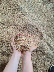 5.Platz Benni-Doppler