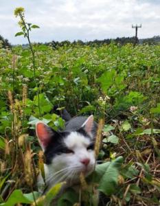 6.Platz Jasmin-Kerschbaumer